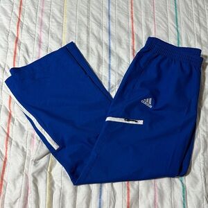 Adidas Blue Track Pants